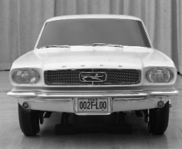 Mustang Trivia: Is that a horse or an airplane?
